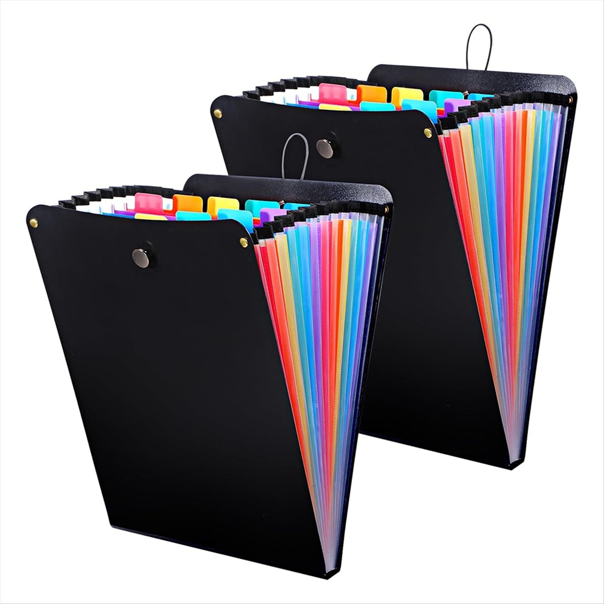 ABPP 2개 확장형 파일 폴더, 13포켓 수직 파일  - Expandable Accordion File Folder 13 Pockets 리뷰 및 가격